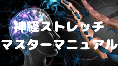 【機能神経学】神経ストレッチマスターマニュアル＋ 50本以上の動画コンテンツ