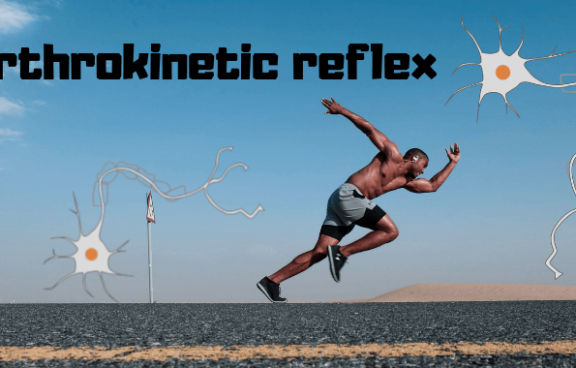 CCA5BB5D BBC3 4BB3 90FF DD9C034E5634