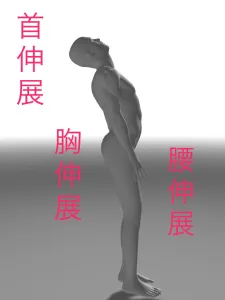 見る方向だけで筋力があがる!?眼と身体の反射 11 見る方向だけで筋力があがる!?眼と身体の反射