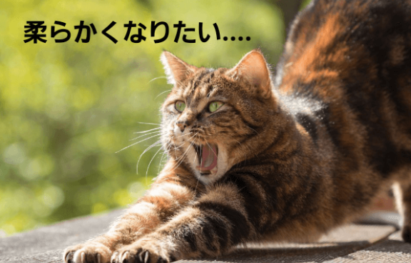 20190210 161642 0001