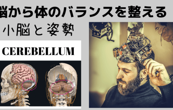 2DE8A079 D0BC 49B9 980A AB383ACDABC9