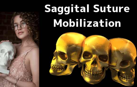 449809D8 E9D7 487E 8432 9B143C20E8D2