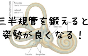 2D335470 9F2F 4BB6 B25F 6C04AD6D6613