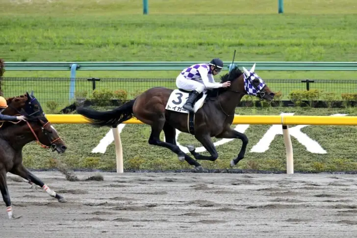 三半規管で超姿勢改善