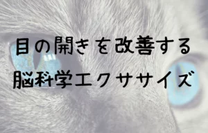 CEC93D85 A22B 408A 8EF6 037381BD418E