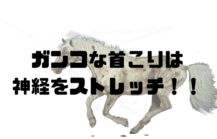 B3D4047F F4E9 461F 9F43 F95677419EAE