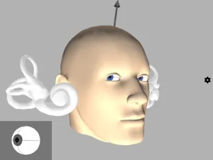 三半規管をテスト＆鍛える方法