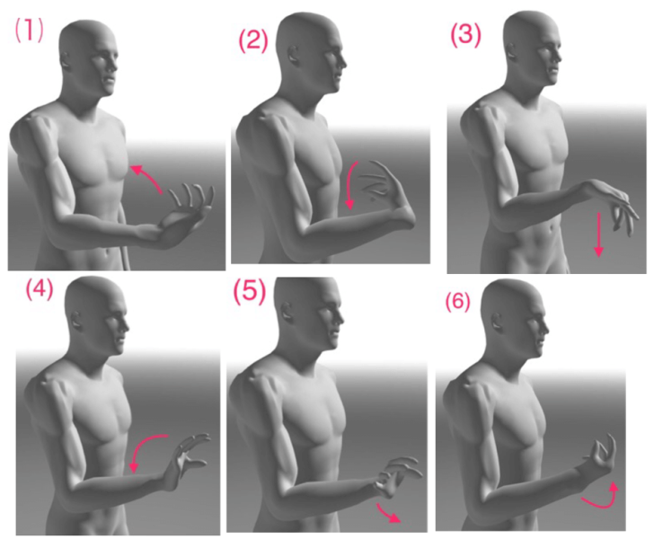 本気で姿勢や体の歪みを治したい人へ.....小脳と体のバランス