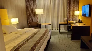 宮崎北斗ドイツ研修【9s structure in Germany】