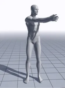 体幹強化には頭蓋骨の可動性が大切 12 体幹強化には頭蓋骨の可動性が大切