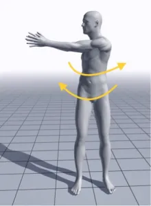 体幹強化には頭蓋骨の可動性が大切 7 体幹強化には頭蓋骨の可動性が大切