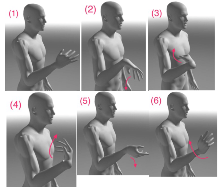 本気で姿勢や体の歪みを治したい人へ.....小脳と体のバランス
