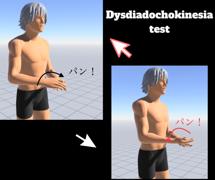 本気で姿勢や体の歪みを治したい人へ.....小脳と体のバランス