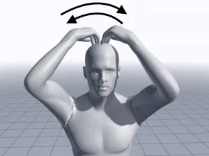 体幹強化には頭蓋骨の可動性が大切 5 体幹強化には頭蓋骨の可動性が大切