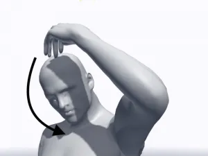 体幹強化には頭蓋骨の可動性が大切 11 体幹強化には頭蓋骨の可動性が大切