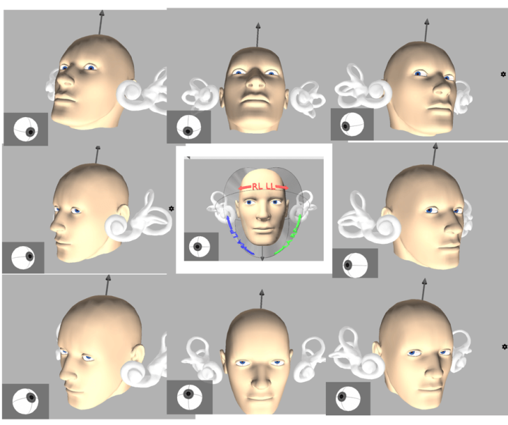 三半規管をテスト＆鍛える方法