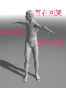 見る方向だけで筋力があがる!?眼と身体の反射 12 見る方向だけで筋力があがる!?眼と身体の反射