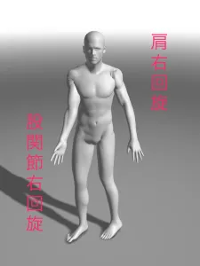 見る方向だけで筋力があがる!?眼と身体の反射 13 見る方向だけで筋力があがる!?眼と身体の反射