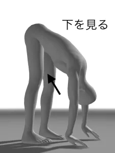 見る方向だけで筋力があがる!?眼と身体の反射 16 見る方向だけで筋力があがる!?眼と身体の反射