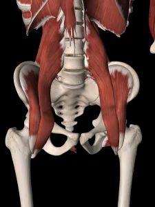 股関節の可動性『ジョイントモビリティトレーニング』