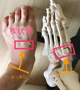 体の歪みを元から治す！！足のモビリティトレーニング