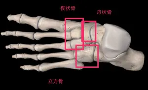 体の歪みを元から治す！！足のモビリティトレーニング