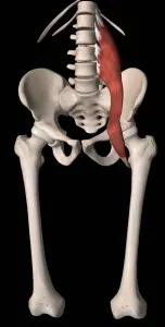 体の歪みを元から治す！！足のモビリティトレーニング