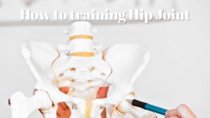 ​​股関節の可動域を広げる方法