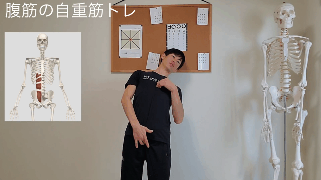 自重で鍛える筋トレメニュー#腹筋【細マッチョ】 14 自重で鍛える筋トレメニュー#腹筋【細マッチョ】