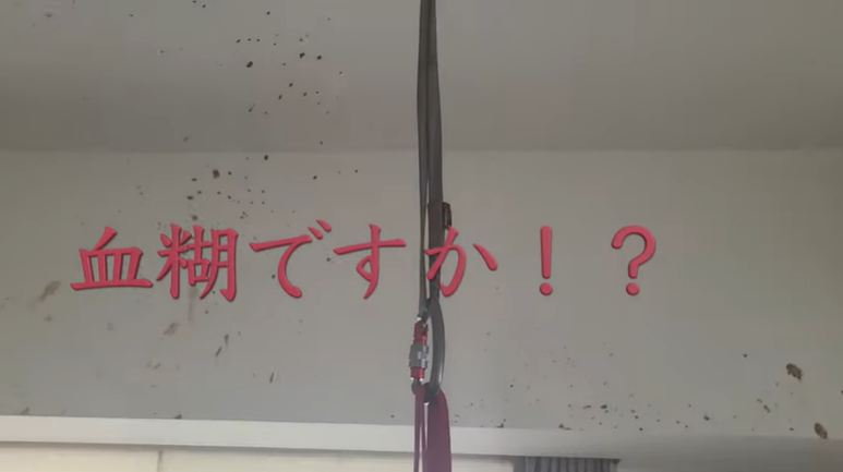 【悲報】アスレチックリビングで起きた悲劇とは……