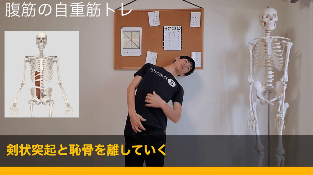 自重で鍛える筋トレメニュー#腹筋【細マッチョ】 10 自重で鍛える筋トレメニュー#腹筋【細マッチョ】