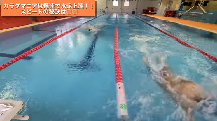 【爆速】ジョッキーがガチで元競泳選手に挑んでみた結果....