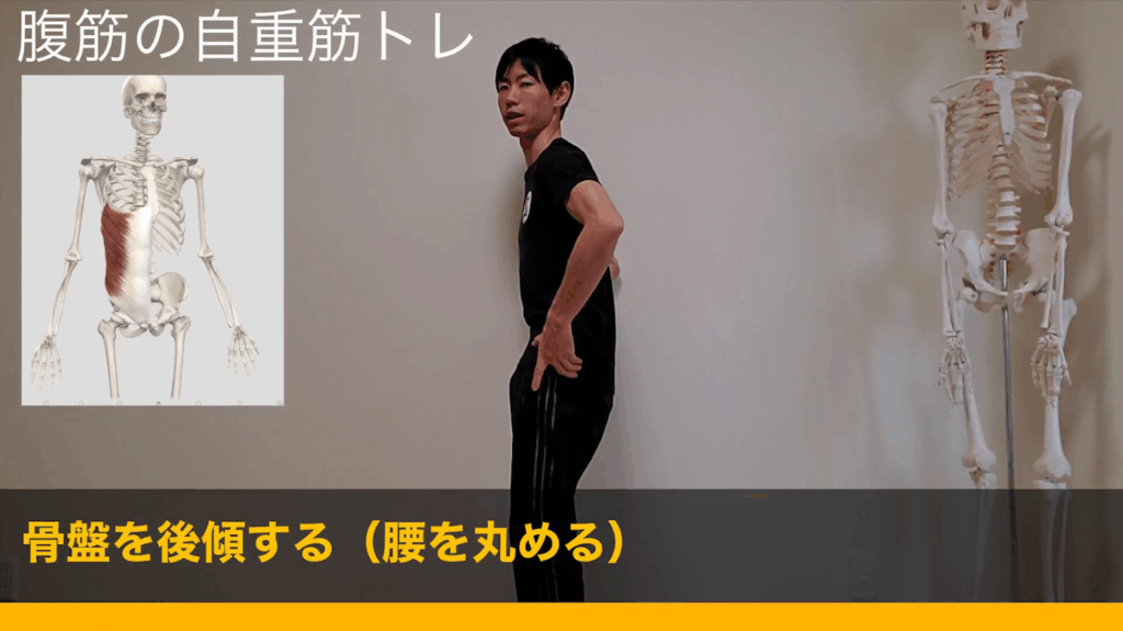 自重で鍛える筋トレメニュー#腹筋【細マッチョ】 19 自重で鍛える筋トレメニュー#腹筋【細マッチョ】