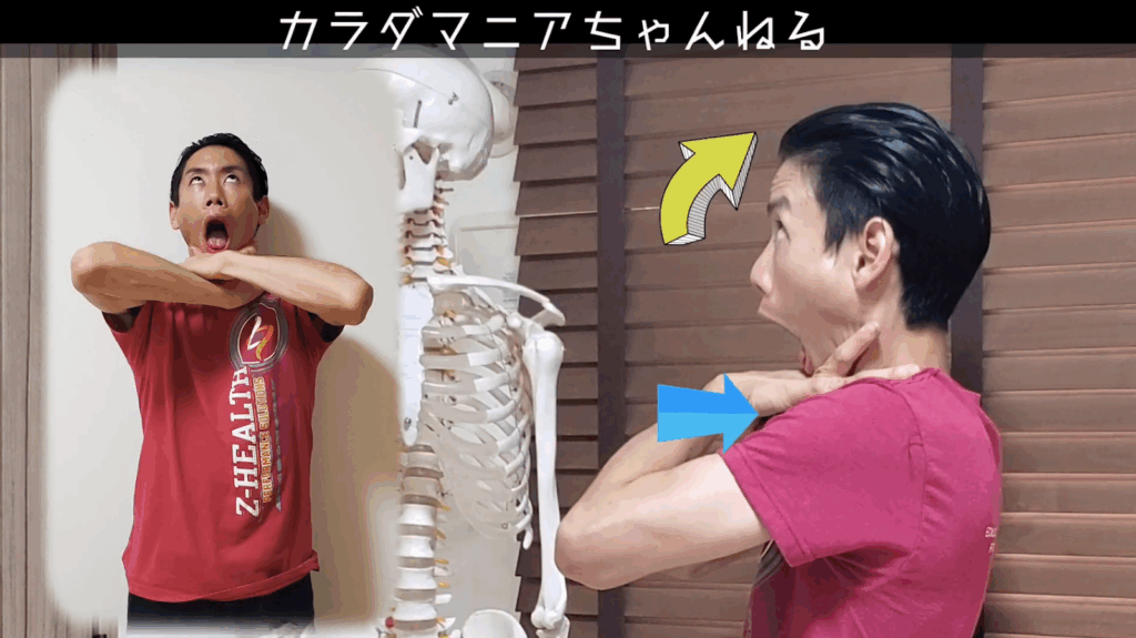 エラ張りを解消する方法【顎のズレから解消】