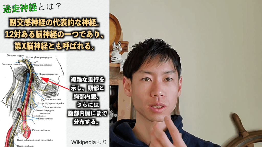 頭痛を改善する脳神経学トレーニング 2 頭痛を改善する脳神経学トレーニング