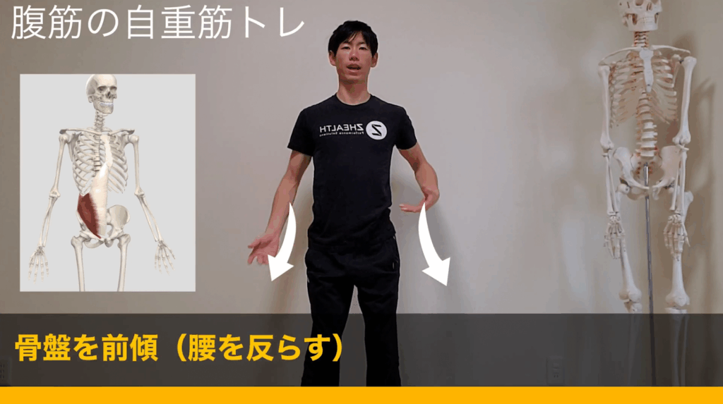 自重で鍛える筋トレメニュー#腹筋【細マッチョ】 23 自重で鍛える筋トレメニュー#腹筋【細マッチョ】