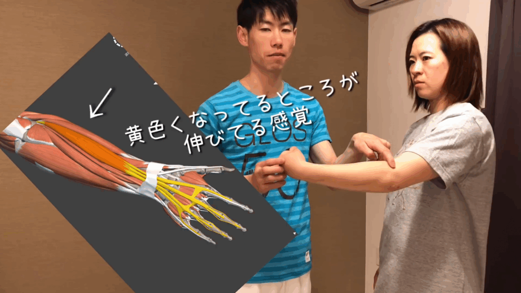 肩の問題を脳科学で解決！