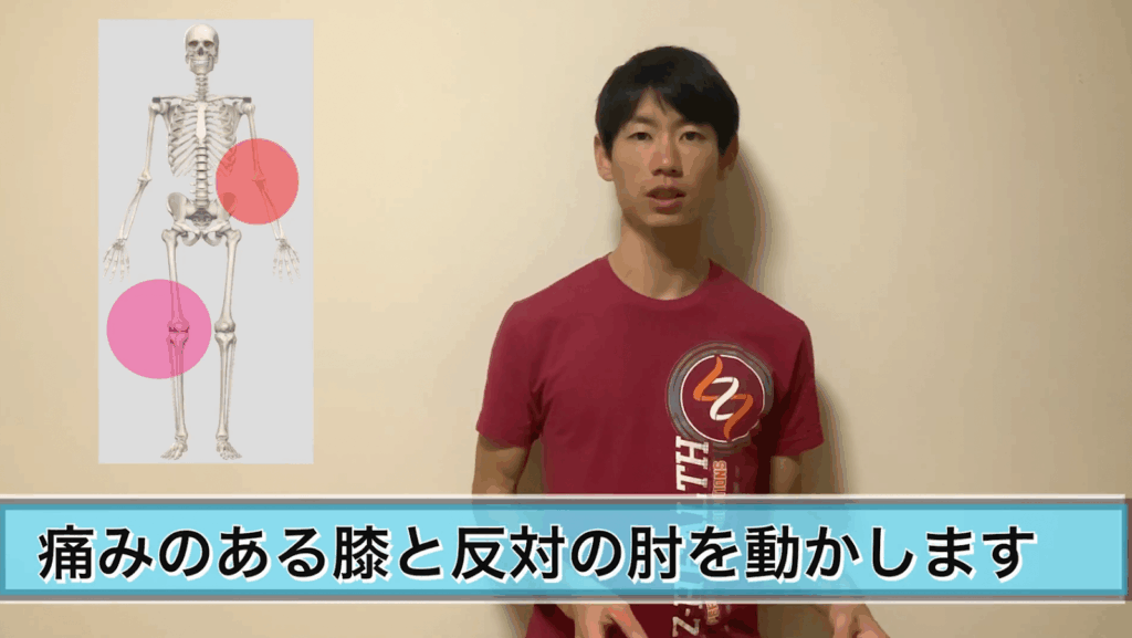 たった5秒で【膝の痛み】を治す方法と理論