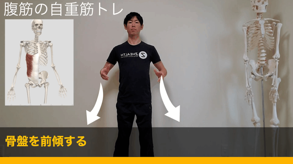 自重で鍛える筋トレメニュー#腹筋【細マッチョ】 16 自重で鍛える筋トレメニュー#腹筋【細マッチョ】