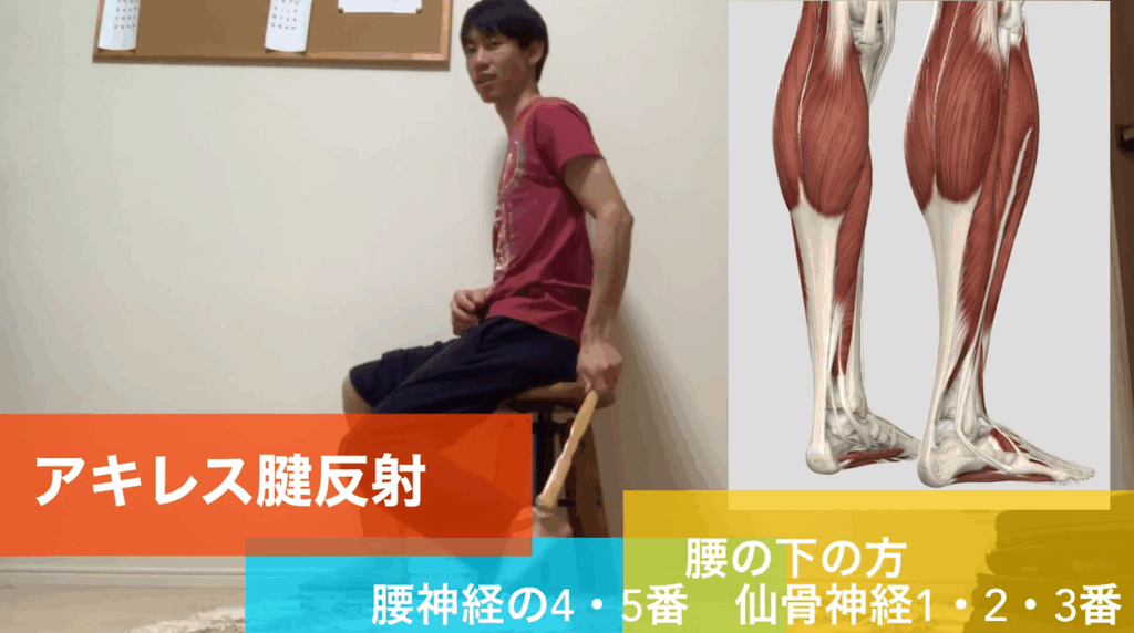 【最新の腰痛治療】敏感なアソコを叩きます！