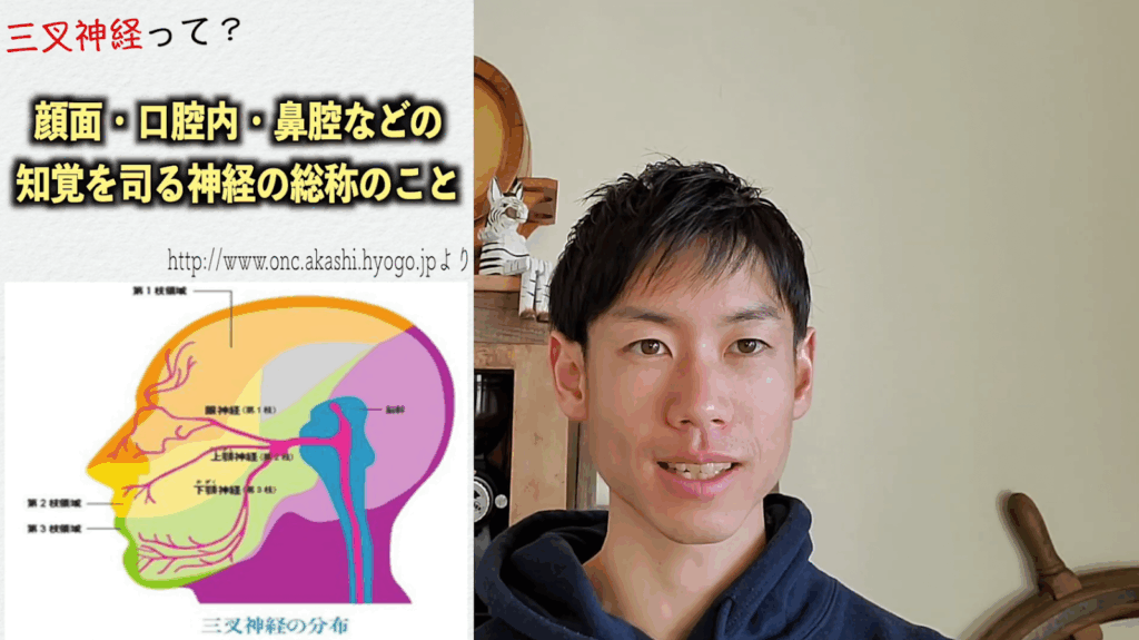 頭痛を改善する脳神経学トレーニング 1 頭痛を改善する脳神経学トレーニング