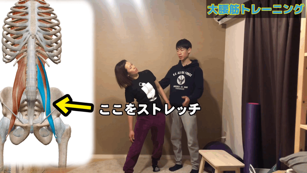 インナーマッスル《大腰筋》の鍛え方！解剖学に基づいたトレーニング方法