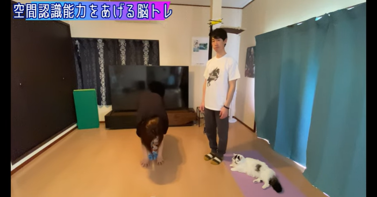 超不思議！！『空間認識』のトレーニングで動きまで激変しました。