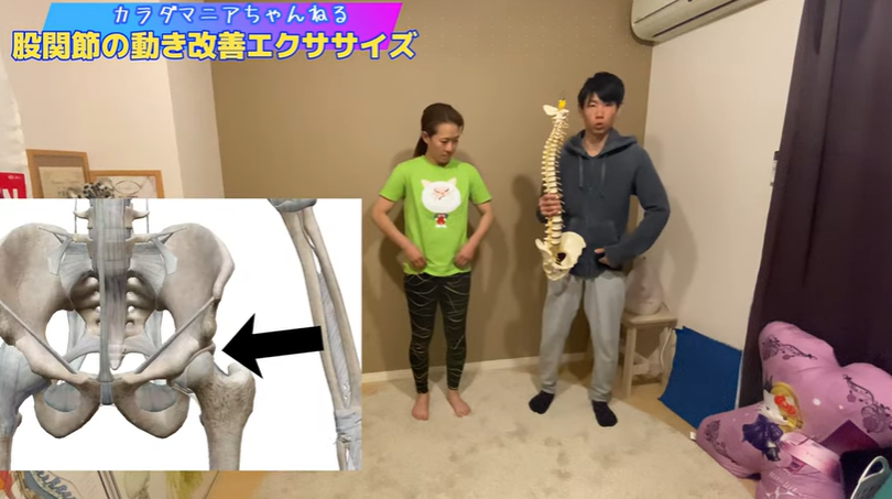 股関節の動きが良くなるエクササイズ+スペシャルワーク 12 股関節の動きが良くなるエクササイズ+スペシャルワーク