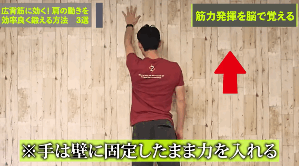 【神経学】広背筋に効く！肩の動きを効率よく鍛える方法　3選