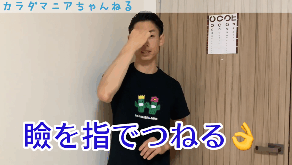 眼瞼下垂パーフェクトマニュアル【目の開きの左右差を改善する神経学】 2 眼瞼下垂パーフェクトマニュアル【目の開きの左右差を改善する神経学】