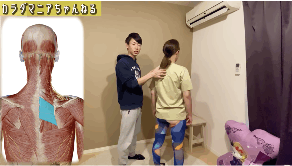 セルフ肩甲骨はがしマニュアル