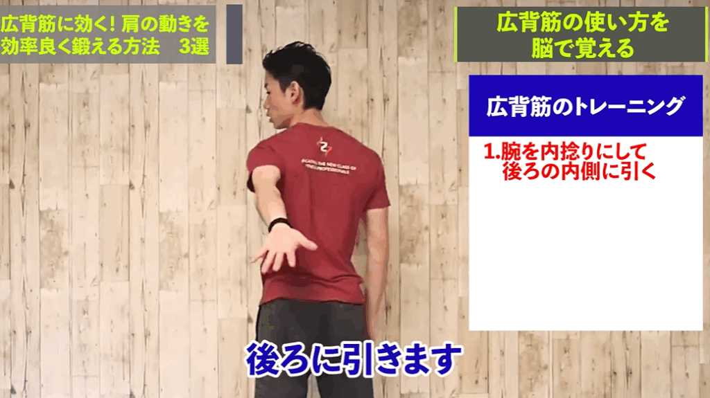 【神経学】広背筋に効く！肩の動きを効率よく鍛える方法　3選