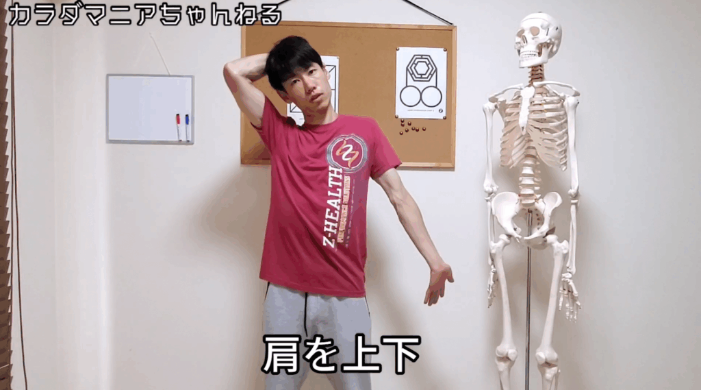 ガンコな首こりは〇〇をストレッチ！？【たった3分】