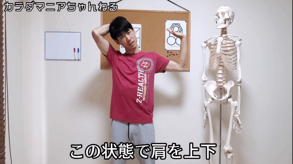 ガンコな首こりは〇〇をストレッチ！？【たった3分】